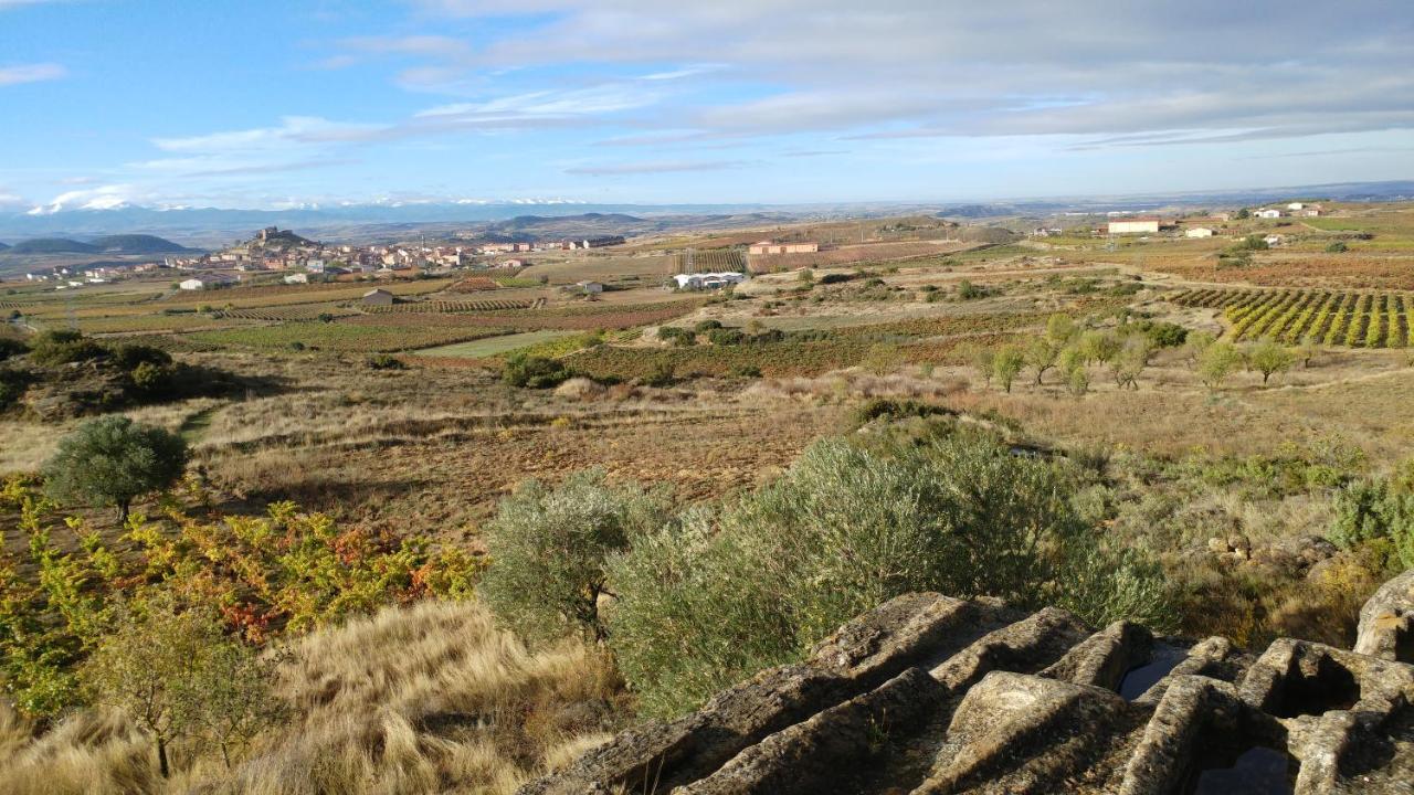 Апартаменти 75 Avenida De La Rioja Сан-Вісенте-де-ла-Сонсьєрра Екстер'єр фото